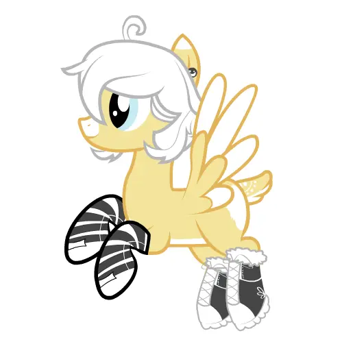 Snow Chaser Fly XD