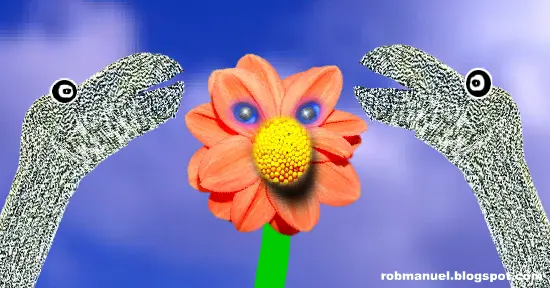 Flower Song