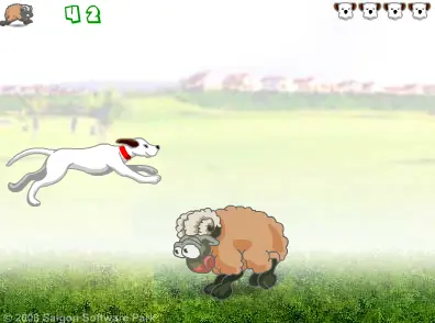 Sheep Jumper