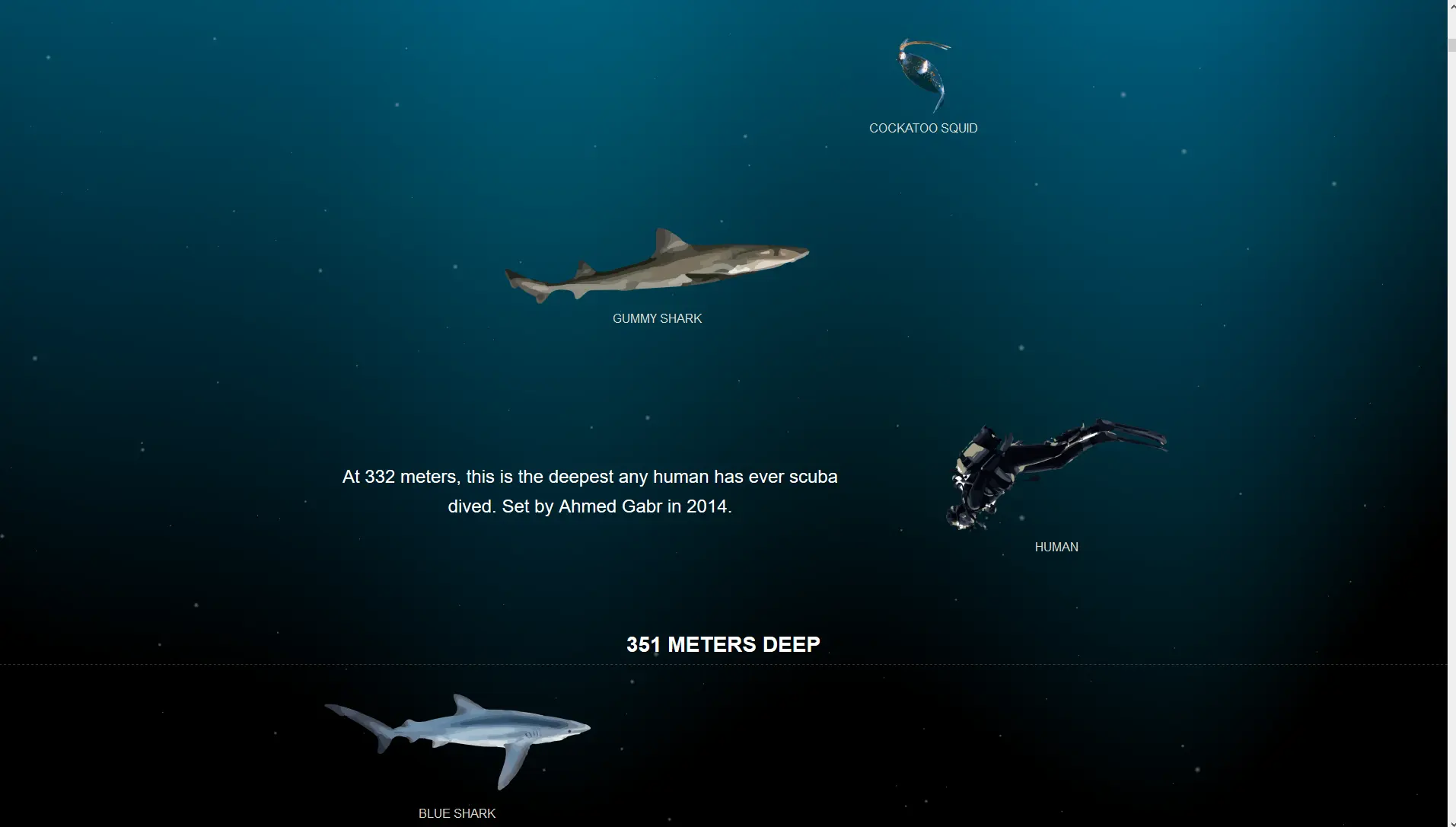 The Deep Sea