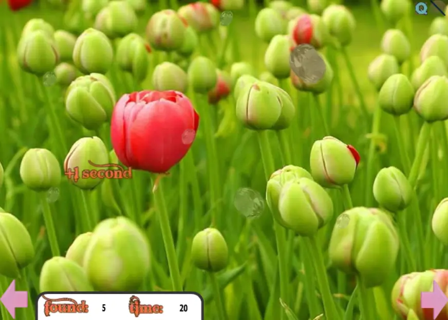 Hidden Gemstones 4
