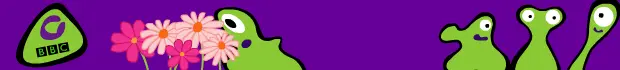 CBBC Flowers Banner