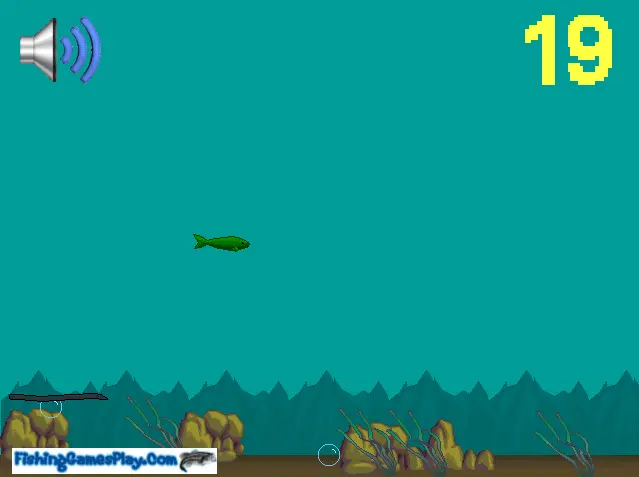 Fish Life