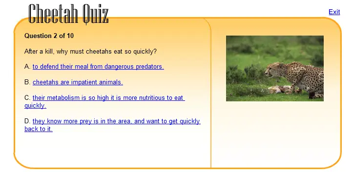 Cheetah Quiz