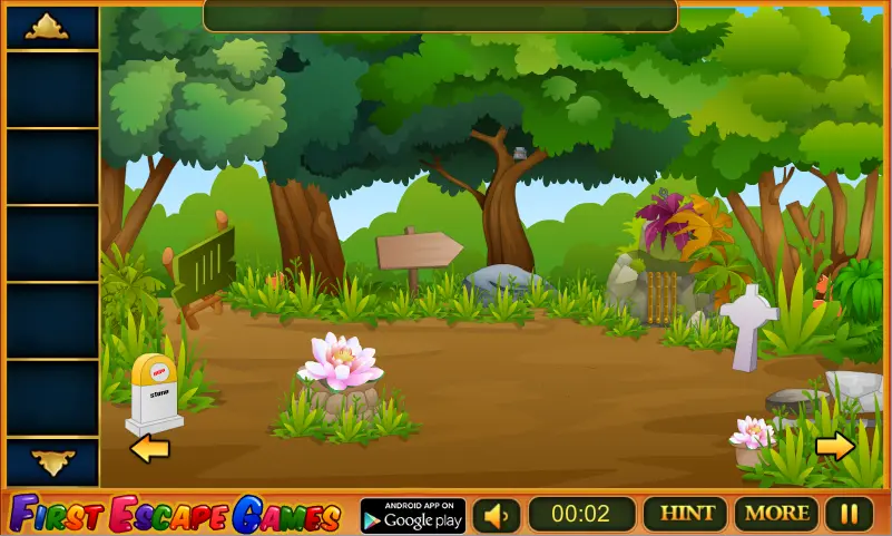 Garden House Boy Escape