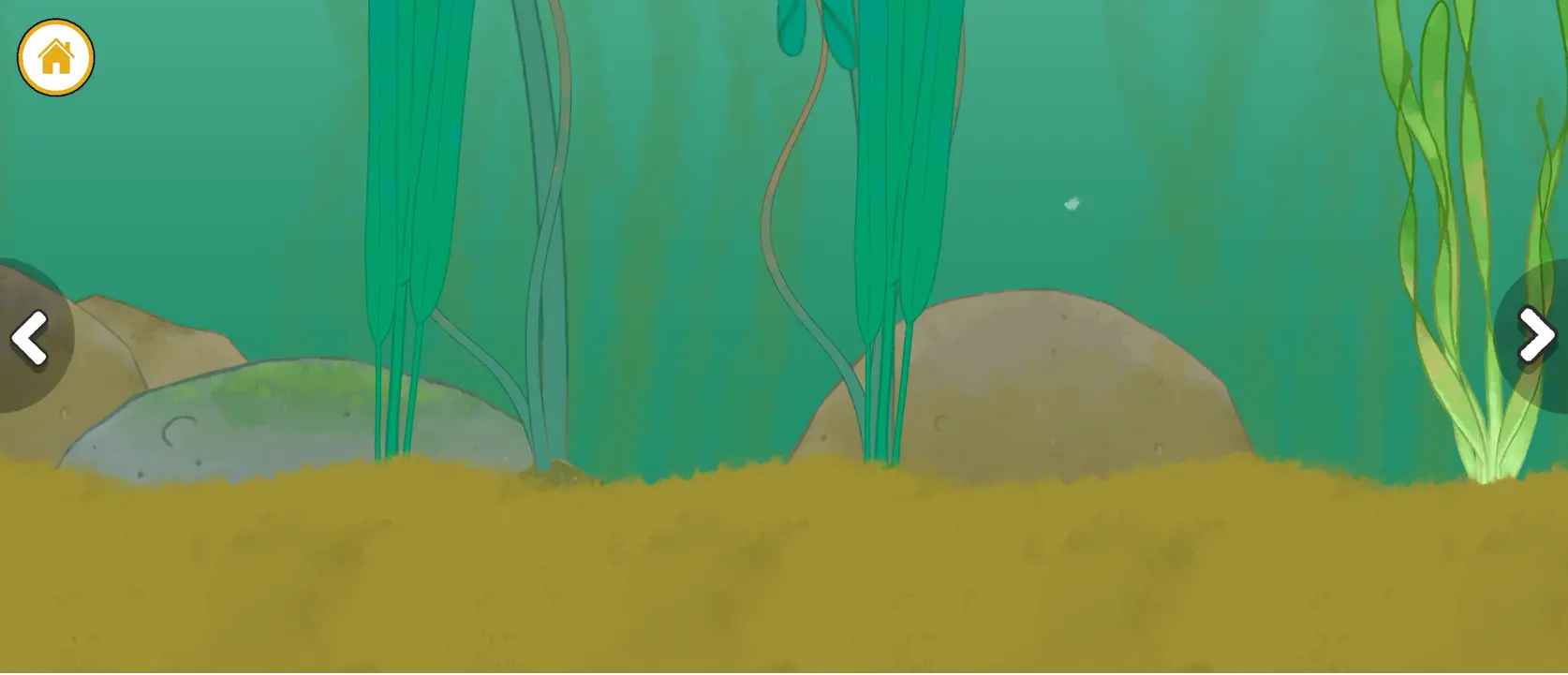 Elinor Wonders Why: Pond Life