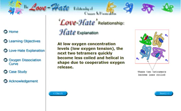 The 'Love-Hate' Relationship of Oxygen & Haemoglobin