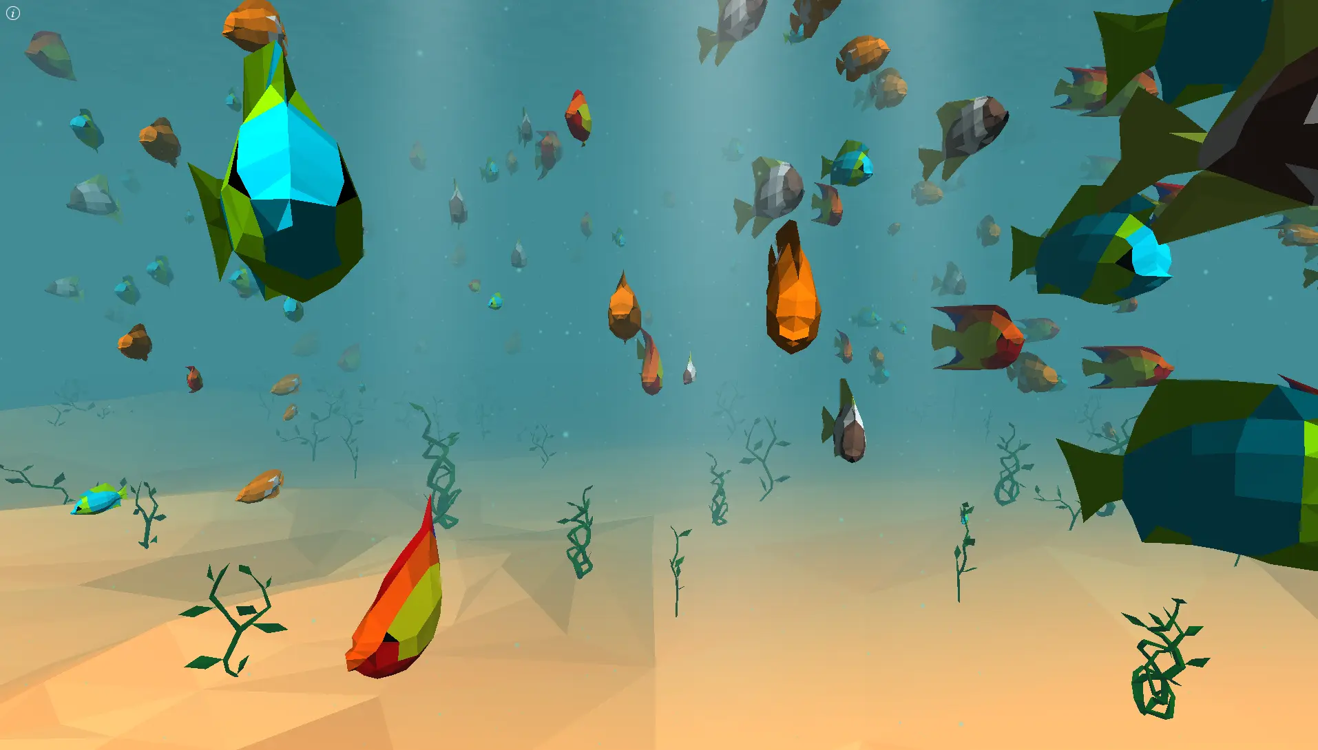Fish