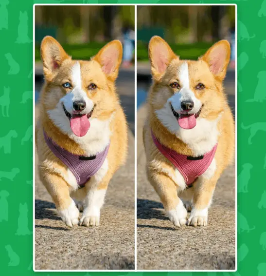 Spot the Difference