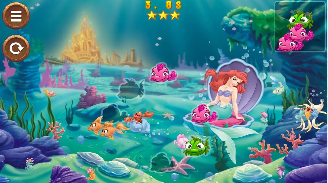 Ariel Puzzle