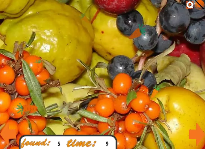 Hidden Carrots