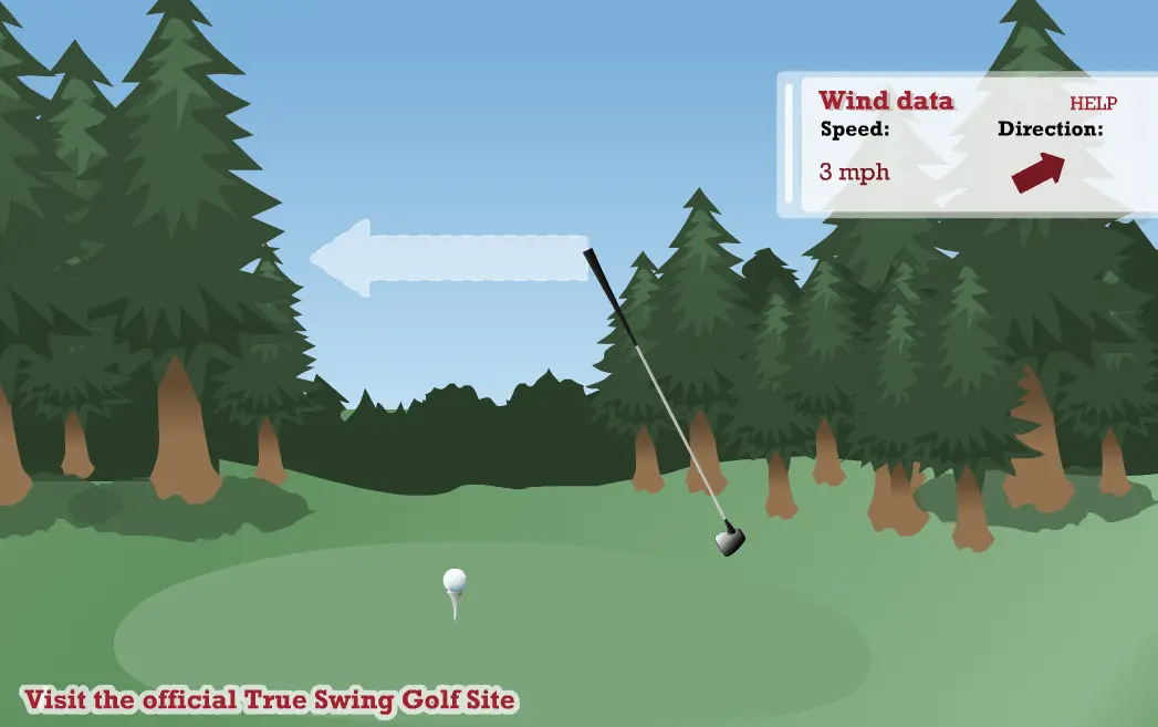 True Swing Golf