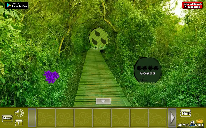 Green Forest Dove Escape
