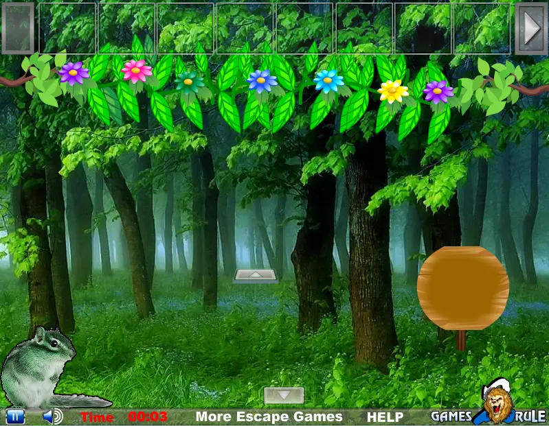 Extremely Squirrel Forest Escape