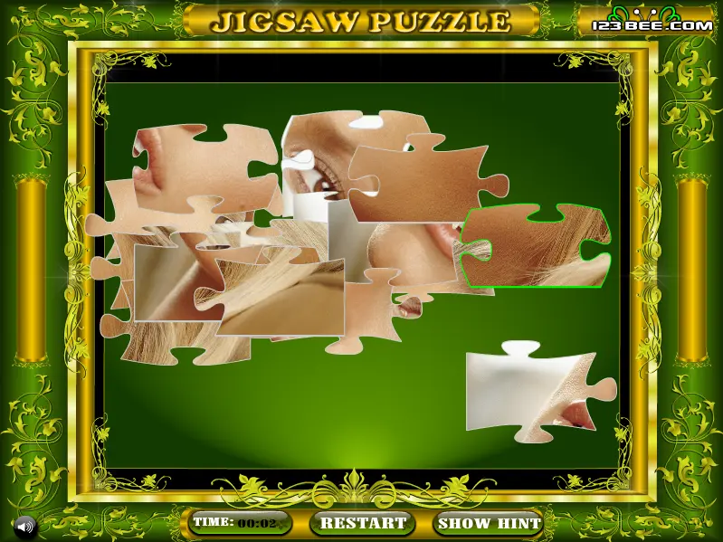 Jigsaw Puzzle Challenge - 120