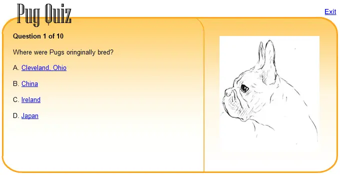 Pug Quiz