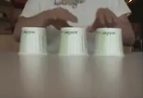 Interactive Shell Game