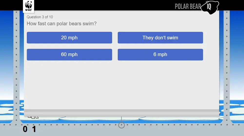 Polar Bear IQ