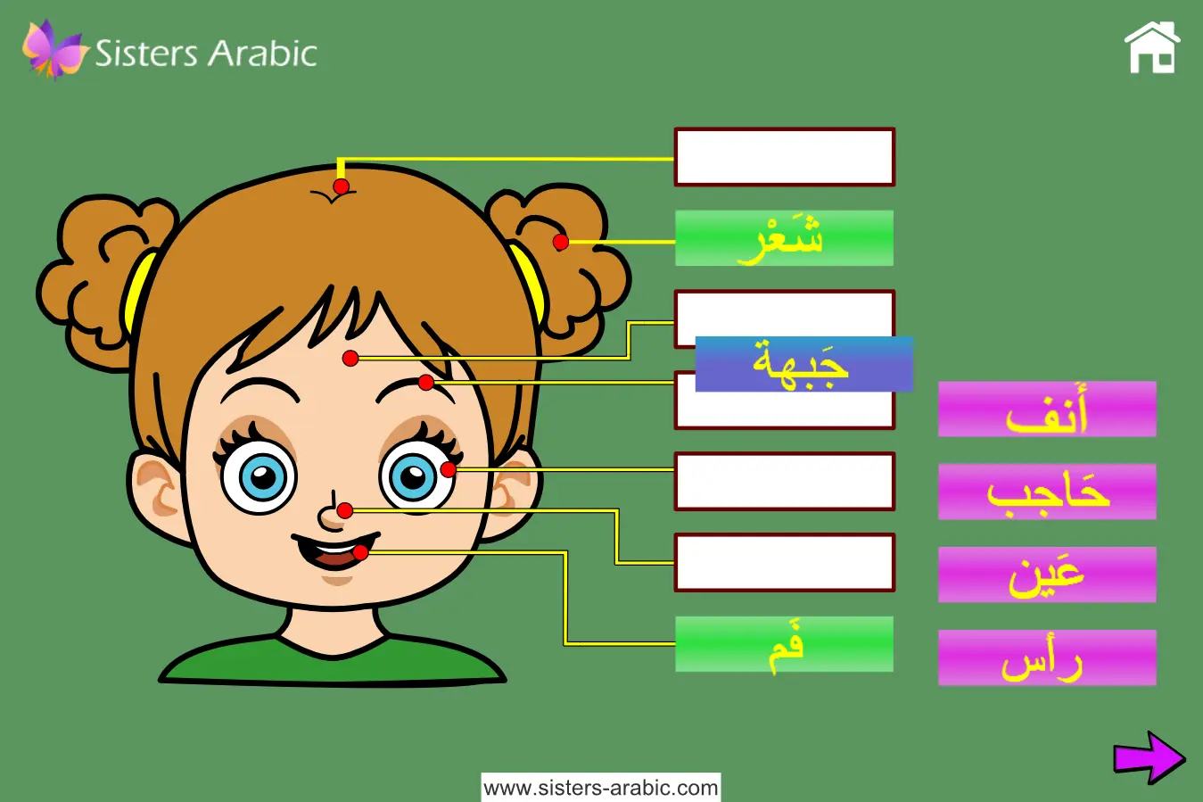 وَجْهي