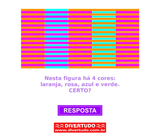 Conte certinho!