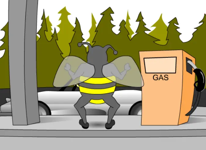 The Bee Dance