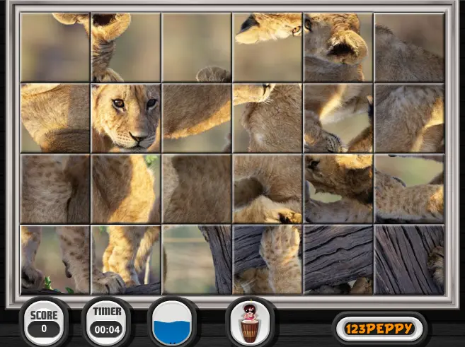 Swing And Set African Cats