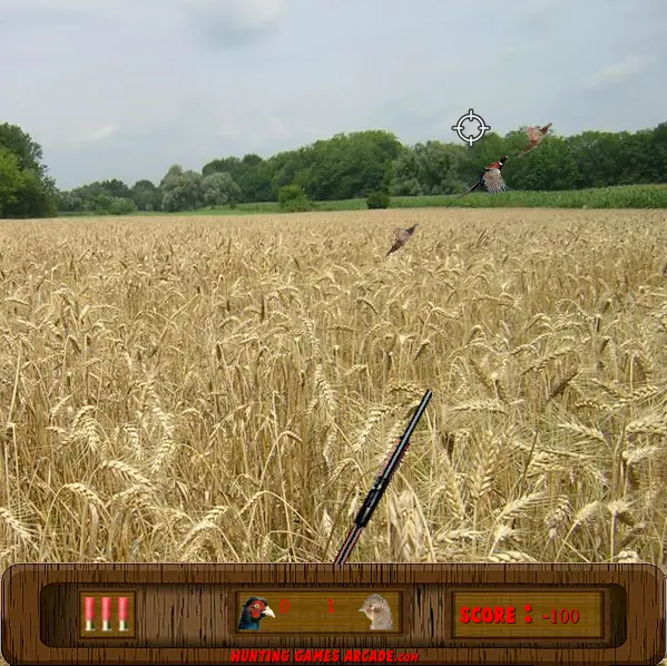 Pheasant Hunting