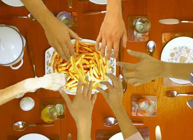 Chip Grabber