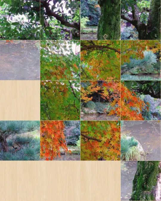 紅葉パズル🍁