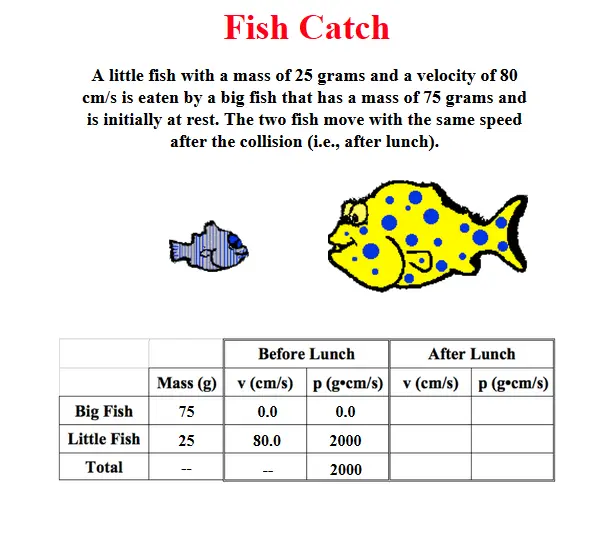 Fish Catch
