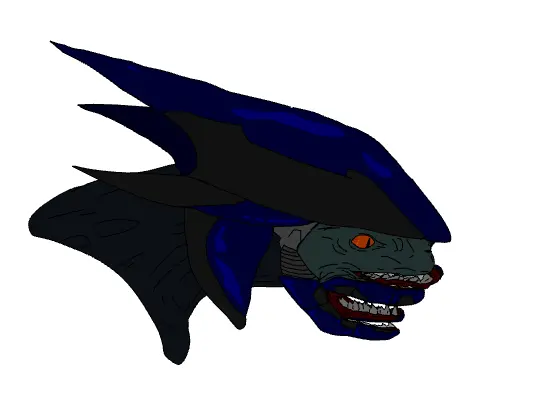 Elite Head Test