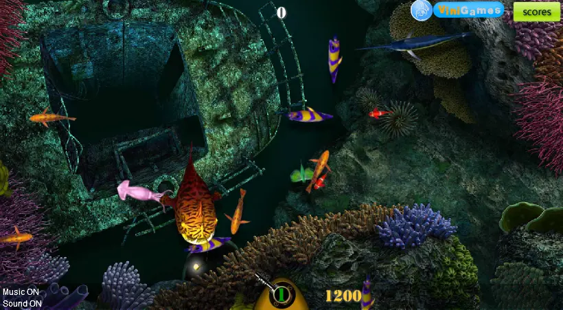 Deep Sea Fishing