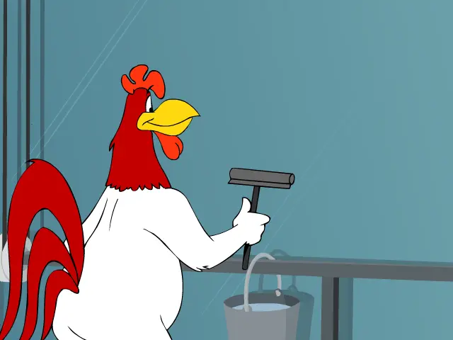 The Royal Mallard: "Window Pains"