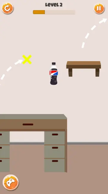 The Bottle Flip