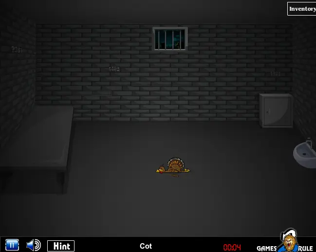 Turkey on Jail