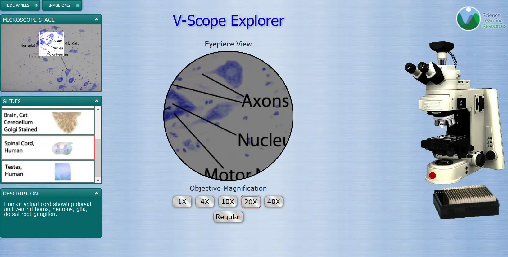 V-Scope Explorer