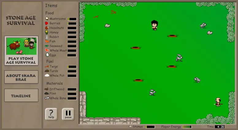 Stone Age Survival