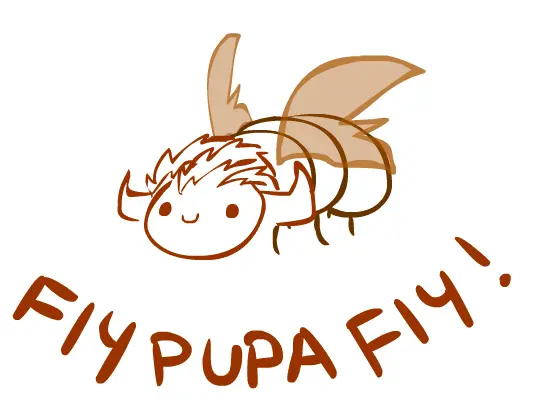 Wriggler Rufioh- Fly Pupa