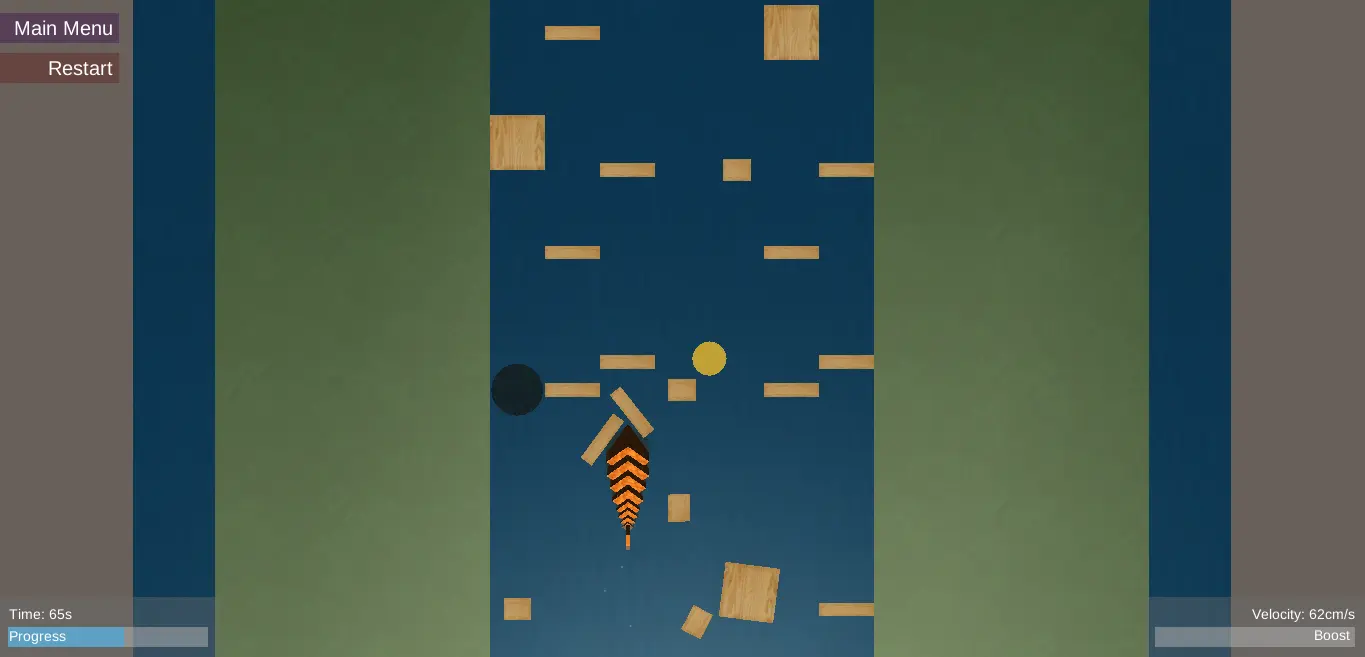 Fastest Fish