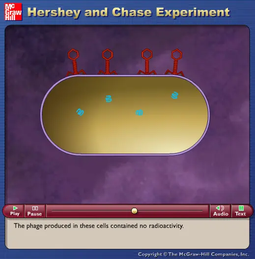 Hershey and Chase Experiment