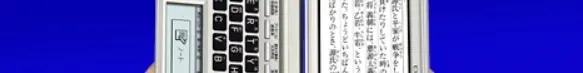 EX-word 2010 Banner Ad