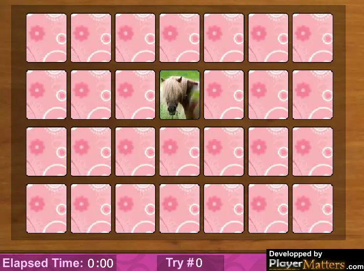 Memory Game: Horses!