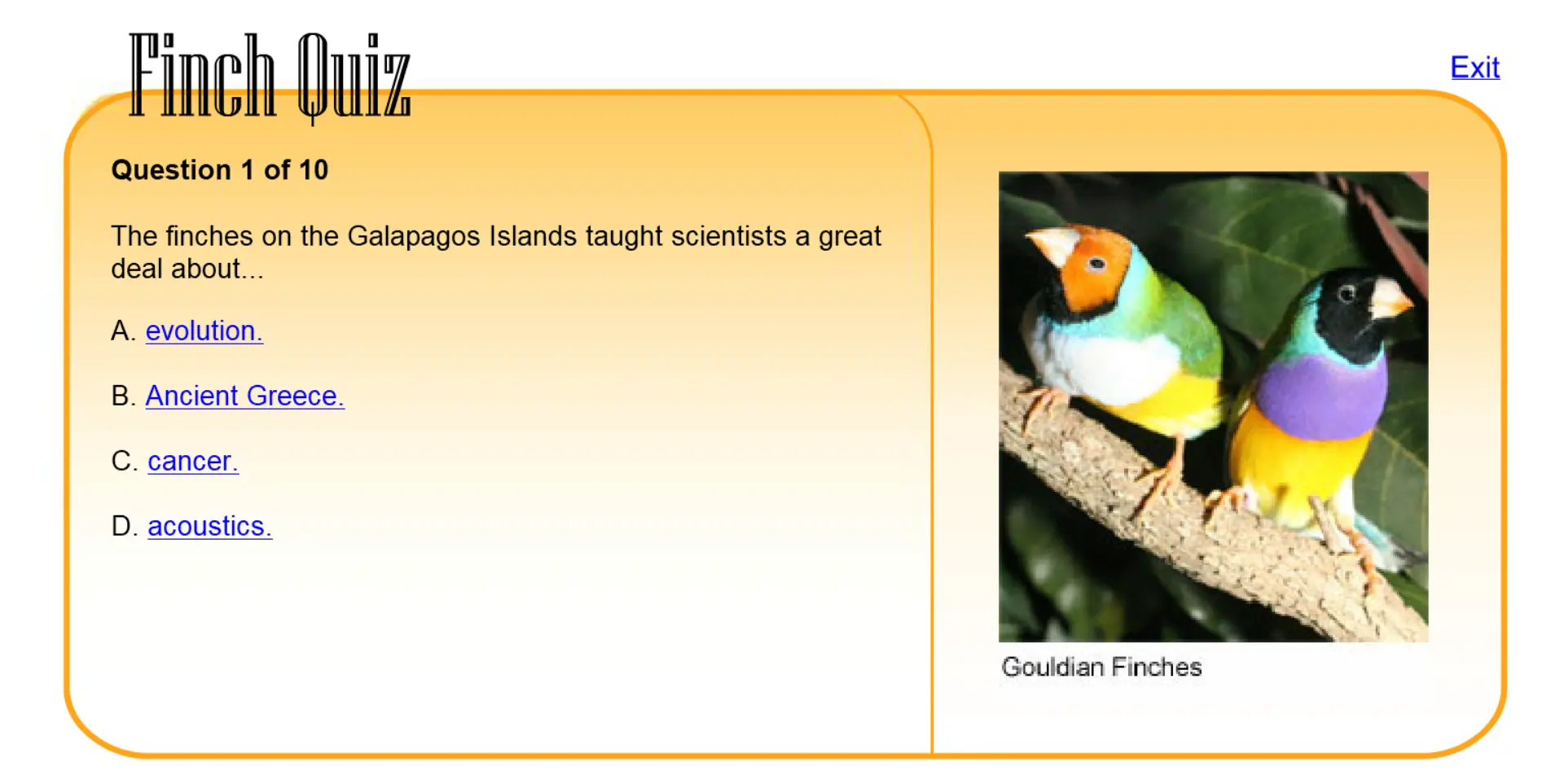 Finch Quiz
