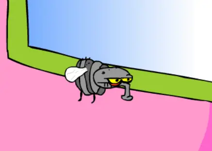 Joe the fly