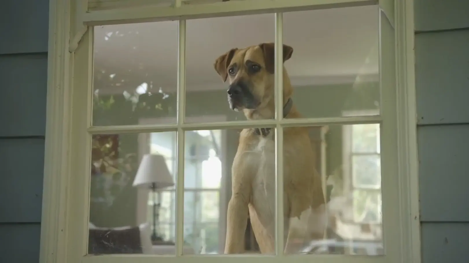 Purina Beneful Presents Pick-A-Path