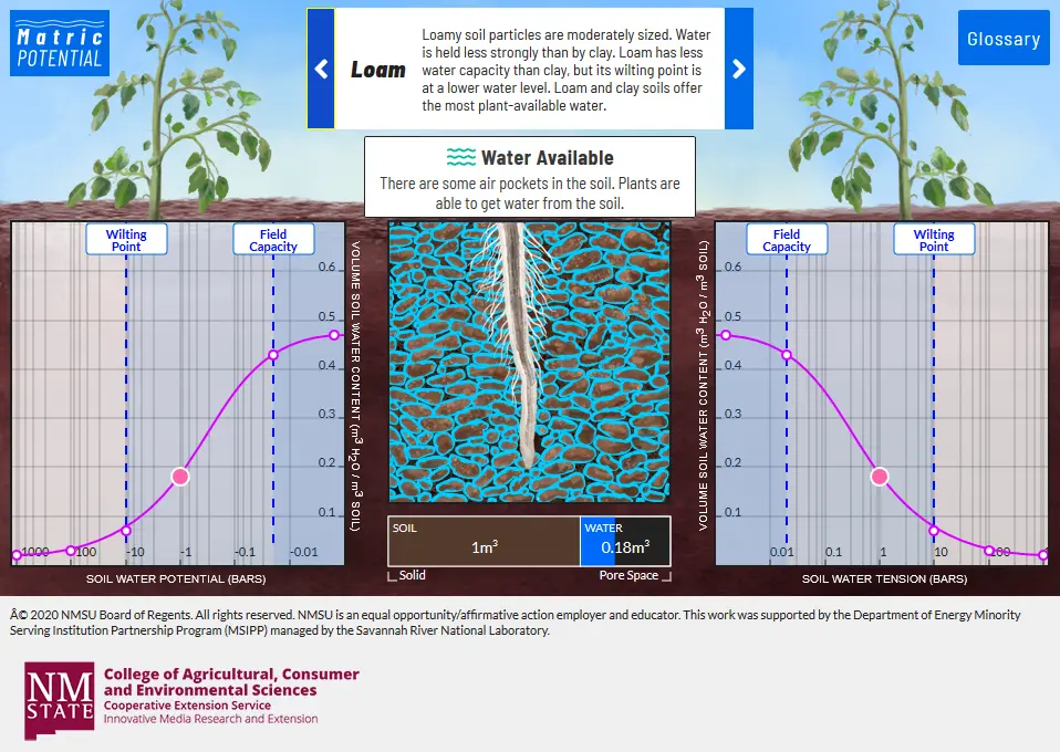 Movement & Storage if Water in Soils