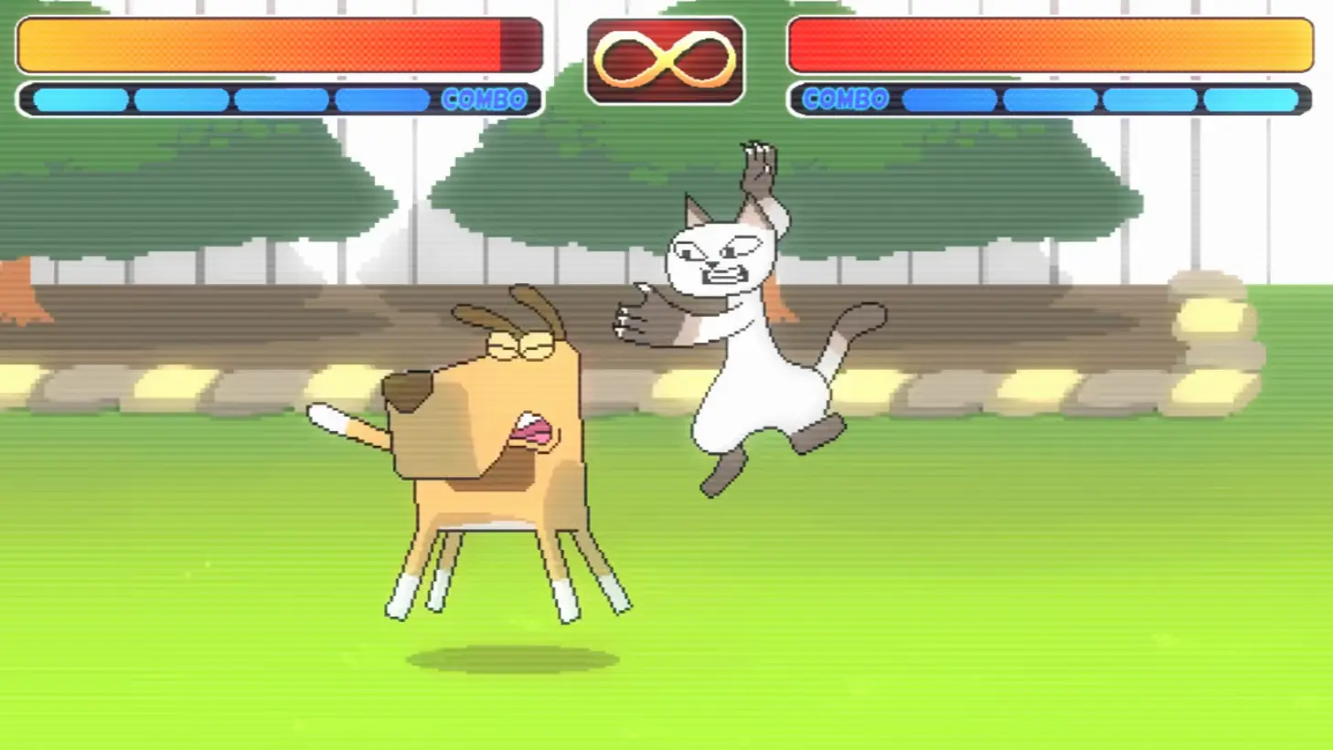 3... 2... 1... Fight!: Cat Vs Dog