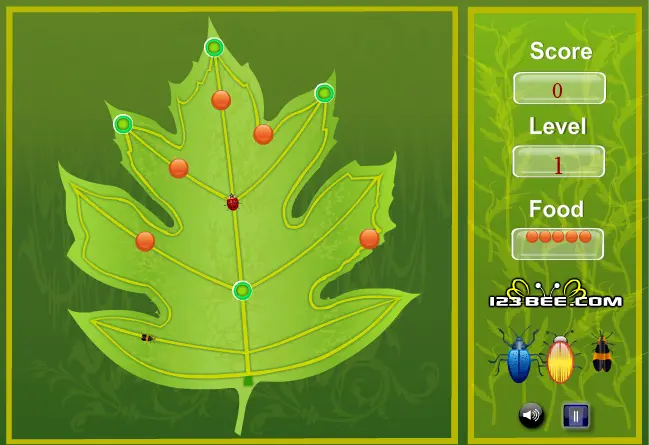 Leaf Rider