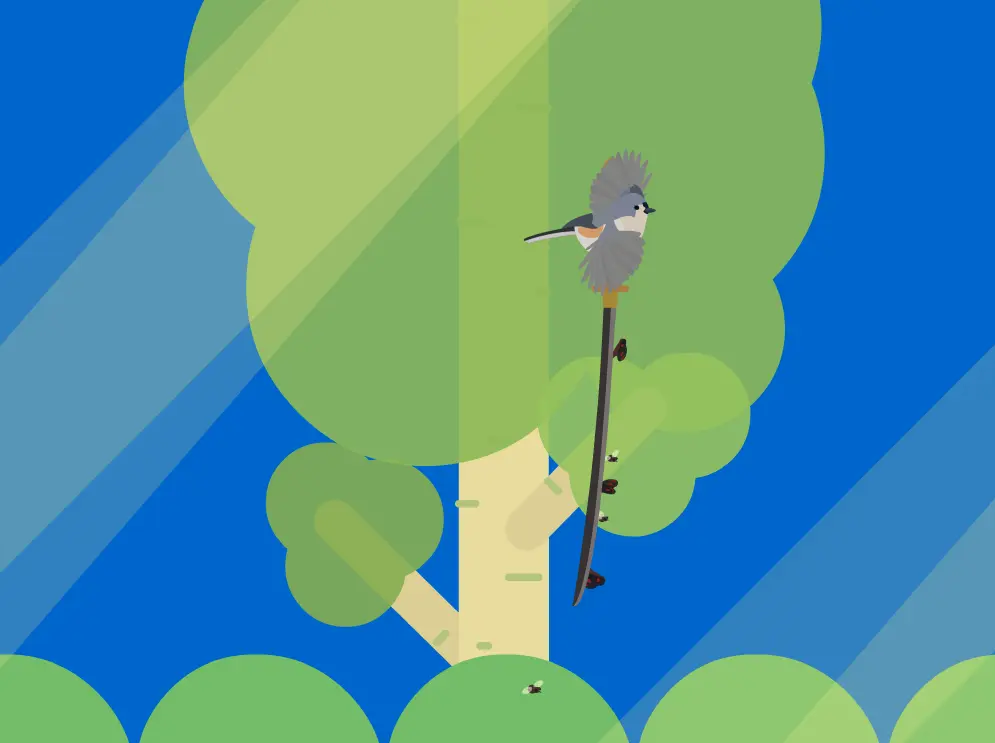 Stupid Bird
