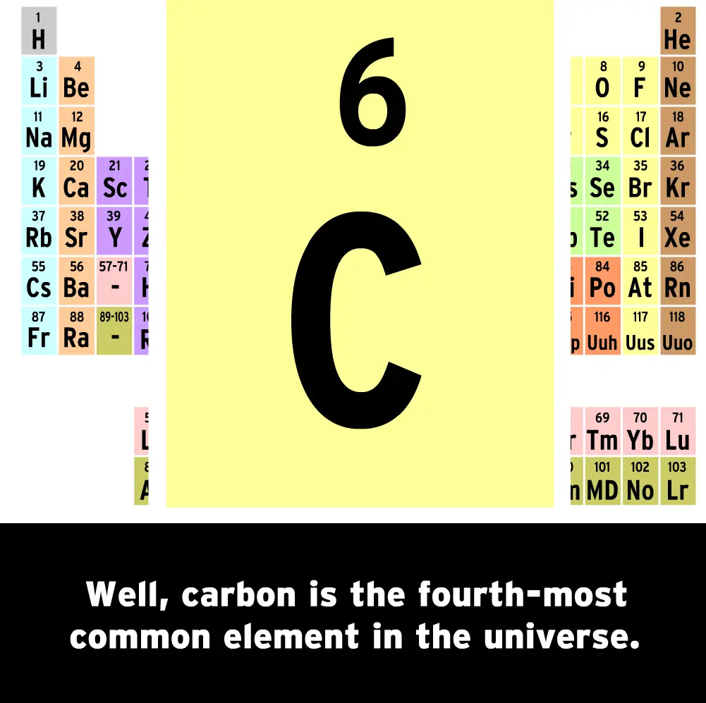 The Mysteries of Life With Tim & Moby: Carbon Cycle